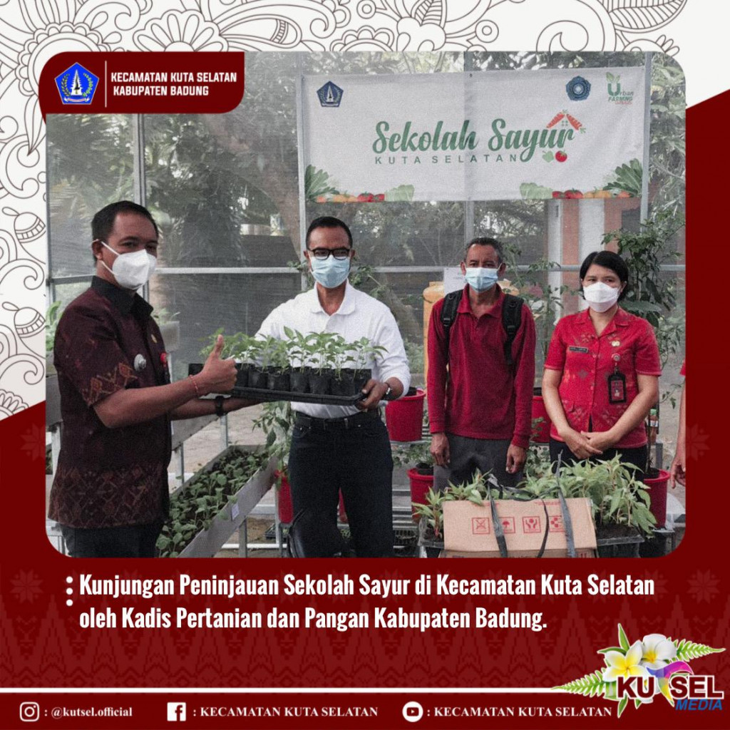 Kunjungan Peninjauan Sekolah Sayur di Kecamatan Kuta Selatan oleh Kadis Pertanian dan Pangan Kabupaten Badung